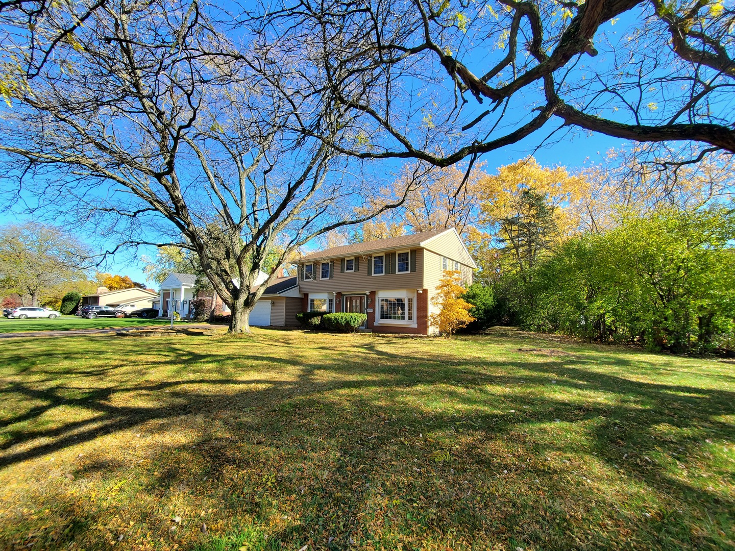 20601 Parthenon Way Olympia Fields, IL 60461 - Photo 2 of 36 a view of a house with a big yard and large trees