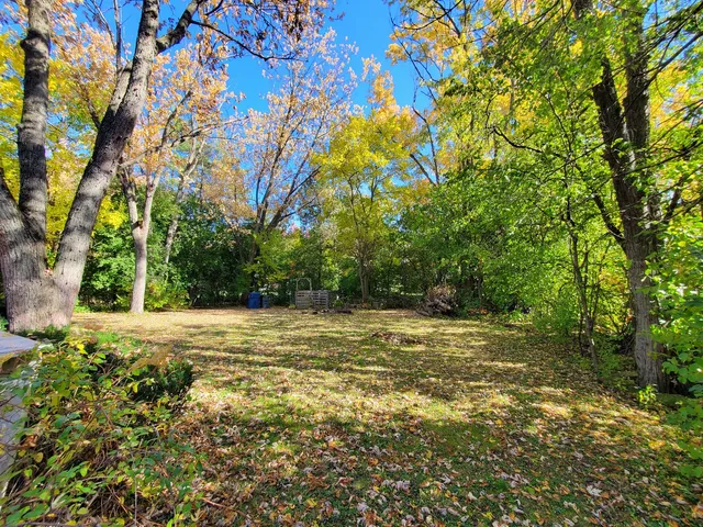 a view of a field with trees in front of it