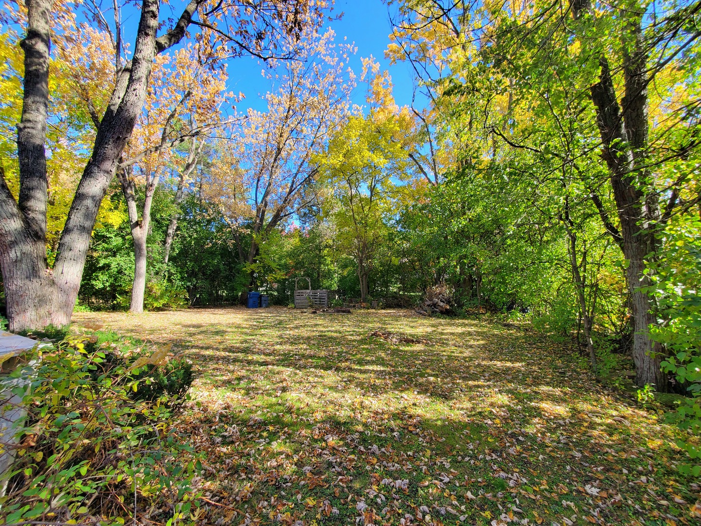 20601 Parthenon Way Olympia Fields, IL 60461 - Photo 3 of 36 a view of a field with trees in front of it