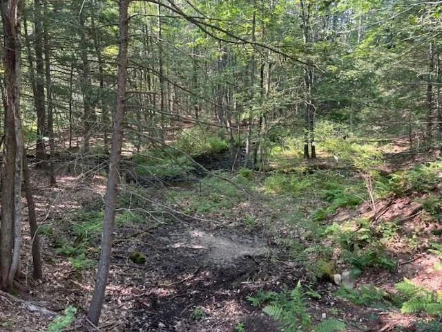 $209,900 | Marden Road, Wilton, NH 03086