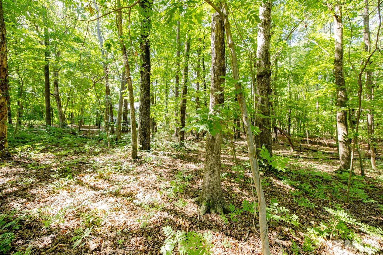 2203 Bivins Road Durham, NC 27712 - Photo 7 of 11 a view of outdoor space and trees