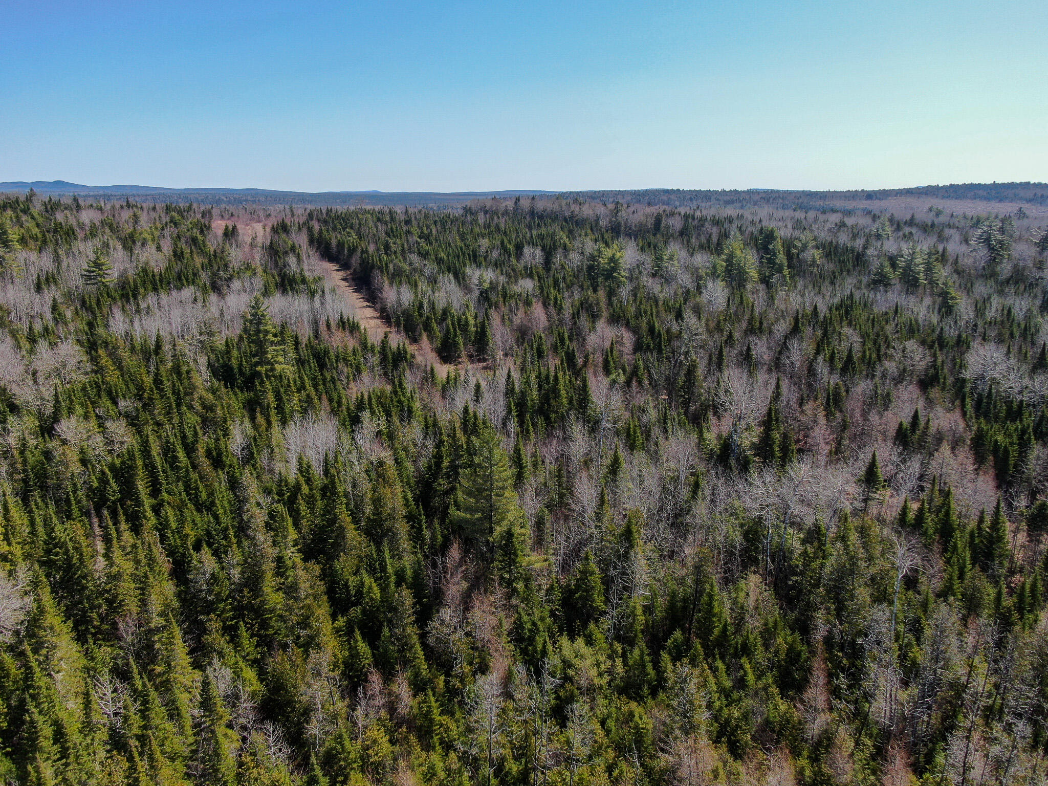 144 Black Water Road Ashland, ME 04732 - Photo 10 of 35 DJI_0228