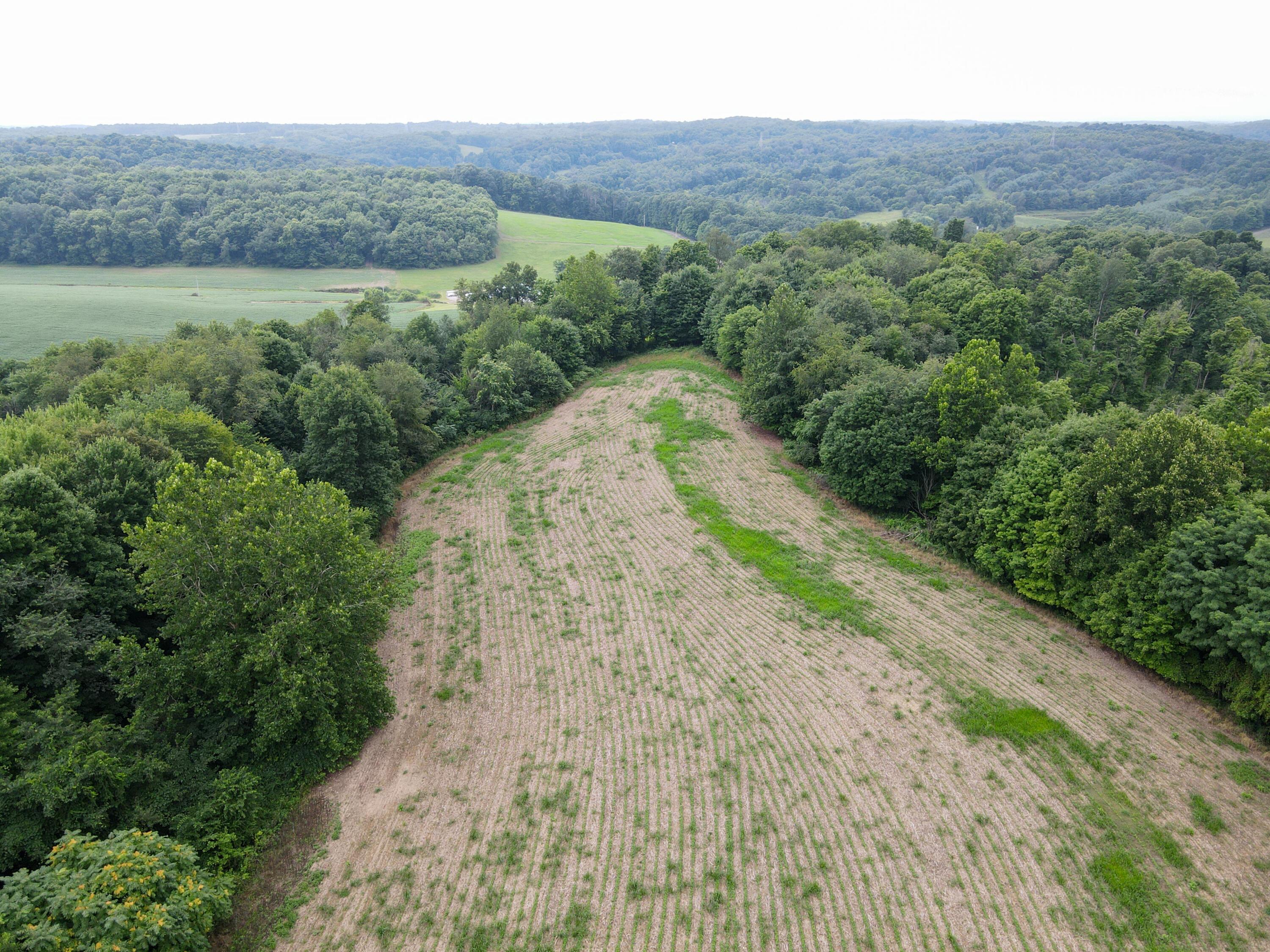 0 North Butler Liberty Road Butler, OH 44822 - Photo 34 of 47 DJI_0505