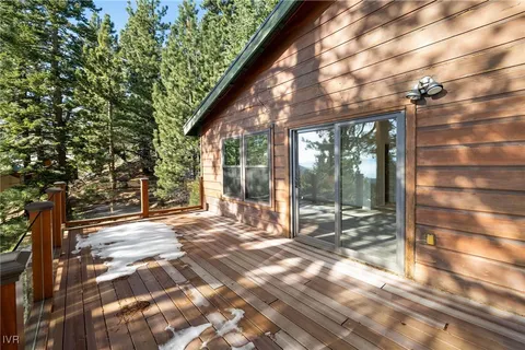 a view of backyard with large windows and a large tree