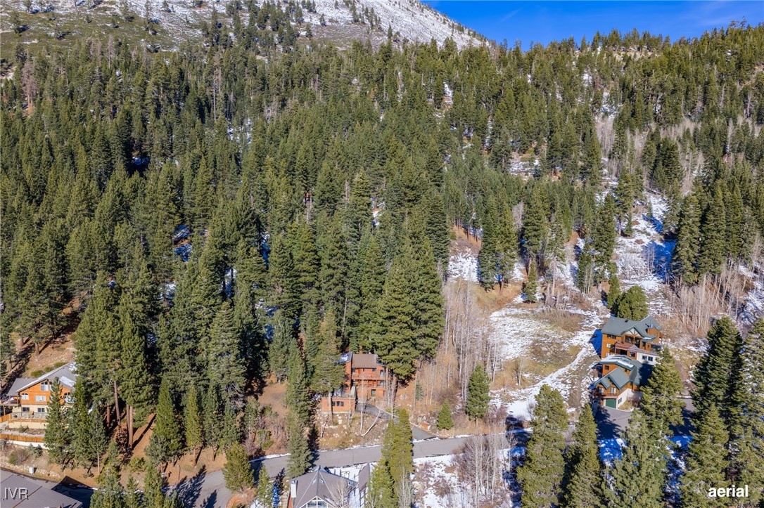 1014 Saturn Court Incline Village, NV 89451 - Photo 38 of 41 a view of a city with lush green forest