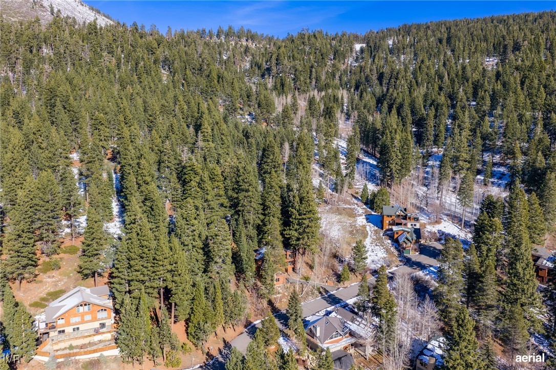 1014 Saturn Court Incline Village, NV 89451 - Photo 39 of 41 a view of a yard with a tree