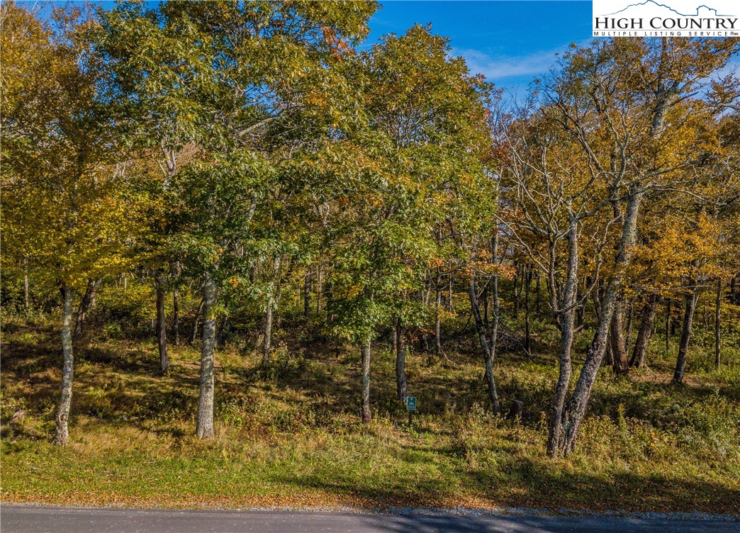 Lot 196 Green Cliffs Road Sugar Mountain, NC 28604 - Photo 1 of 10 a view of yard
