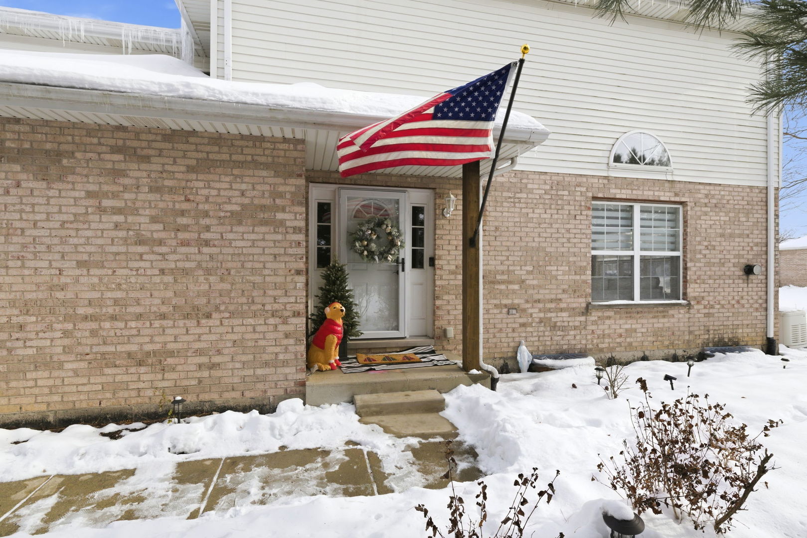 19320 Tramore Lane Mokena, IL 60448 - Photo 2 of 28 a view of a wooden house with snow