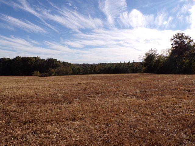 0 Merriman Way Road Moneta, VA 24121 - Photo 1 of 4 20200702150405587493000000-o