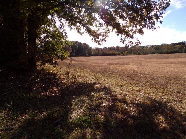 0 Merriman Way Road Moneta, VA 24121 - Photo 3 of 4 20200702150404577355000000-o