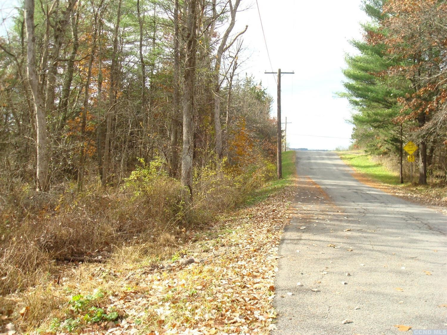 0 Cedar Ridge Road Coeymans, NY 12143 - Photo 4 of 6 Photo 4