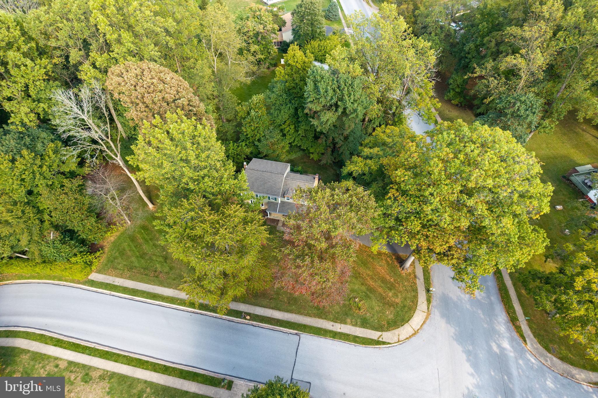 208 Morris Road Exton, PA 19341 - Photo 34 of 43 a view of a yard with plants
