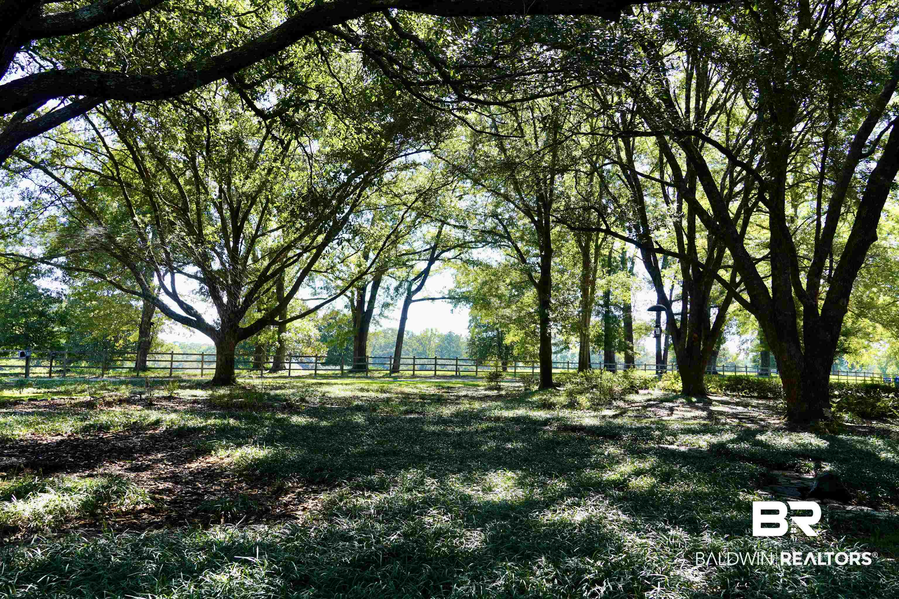 117 Belle Meade Brewton, AL 36426 - Photo 52 of 62 View of nature featuring a rural view