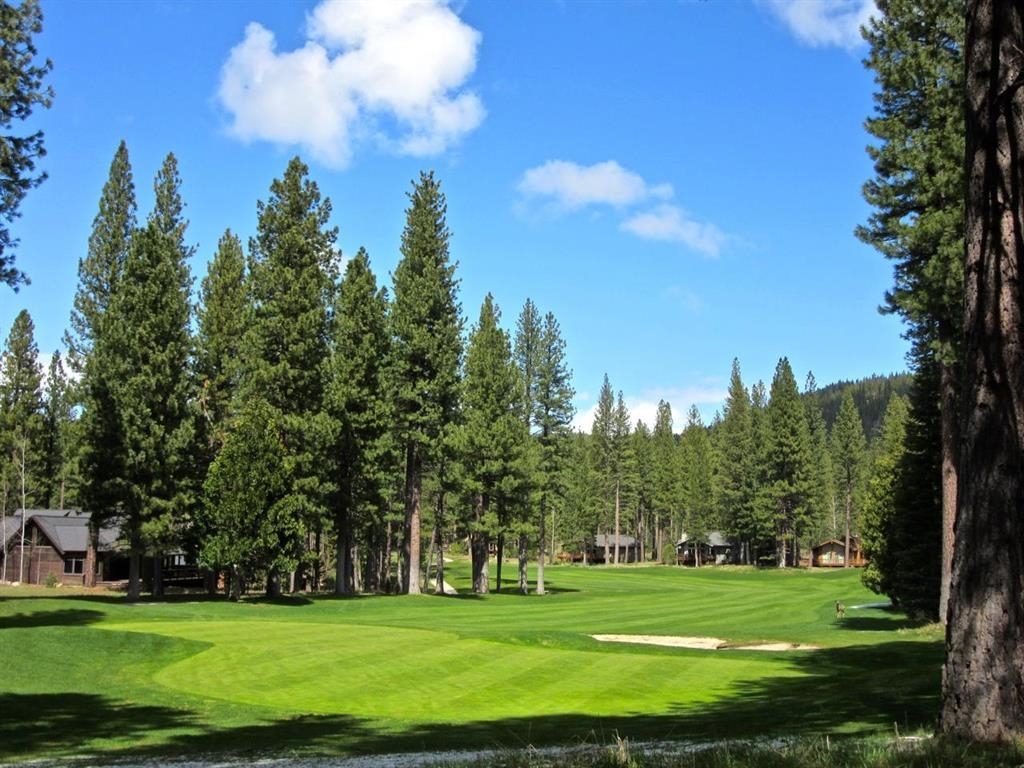 a view of a golf course with a trees