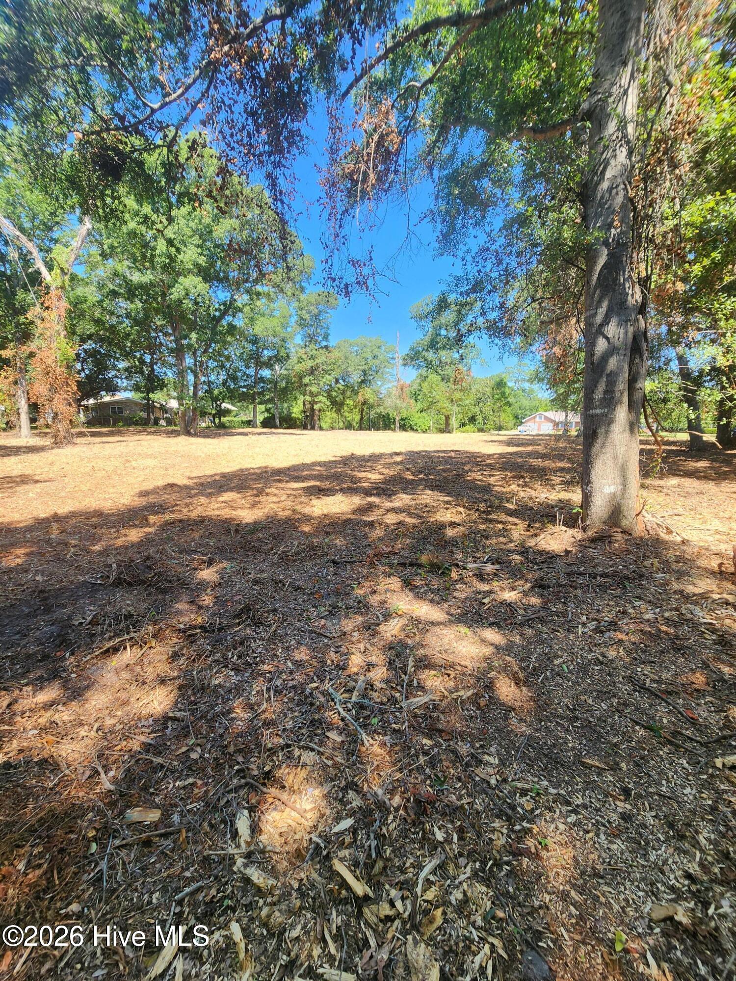 102 Deer Run Hubert, NC 28539 - Photo 6 of 12