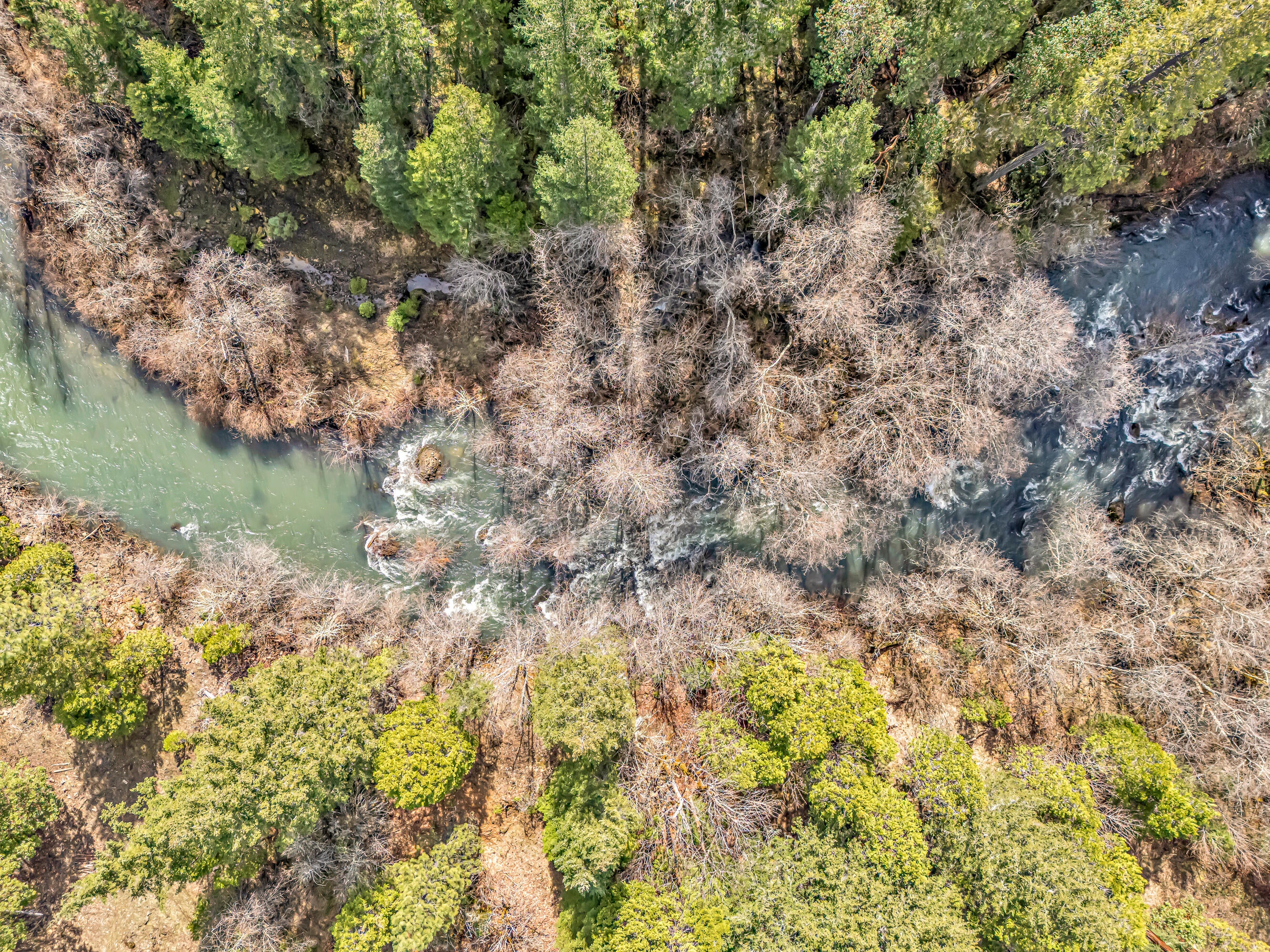 2455 Cobleigh Road Eagle Point, OR 97524 - Photo 61 of 63 DJI_20250325114131_0076_D