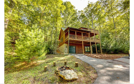 278 The Forest Has Eyes Blue Ridge, GA 30513 - Photo 1 of 1 Main View