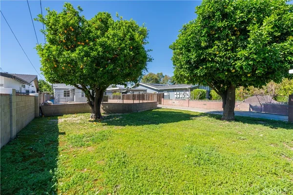 a view of a house with garden and a tree