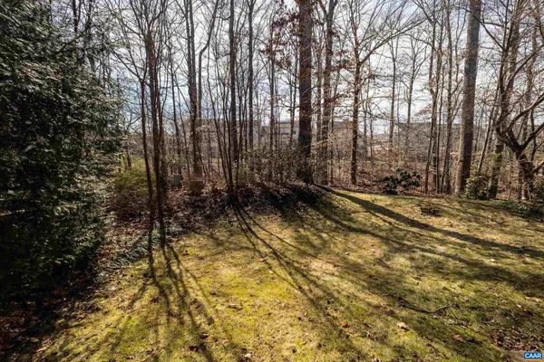 a view of a yard with trees in the background