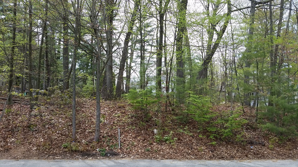 Lot 5 Coolidge Road Milford, MA 01757 - Photo 1 of 3 Gallery Image 1