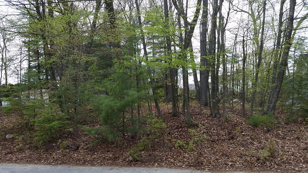 Lot 5 Coolidge Road Milford, MA 01757 - Photo 2 of 3 Gallery Image 2