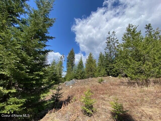 Nna Upper Gold Creek Road Sandpoint, ID 83864 - Photo 24 of 25 27