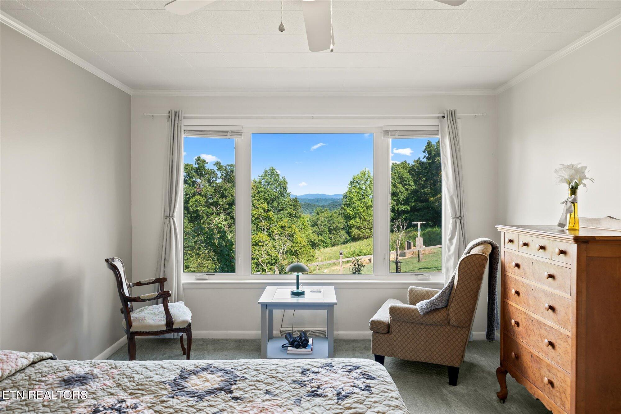 9466 Barnes Ridge Road Monroe, TN 38573 - Photo 25 of 39 23-9466 Barns Ridge Rd, Monroe _1085