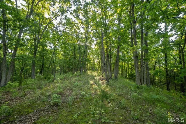 $250,000 | 11953 Apollo Street, Ethel, MO 63539