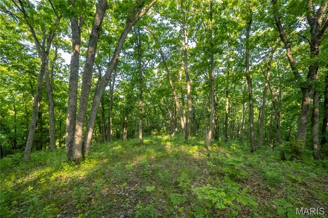 $250,000 | 11953 Apollo Street, Ethel, MO 63539