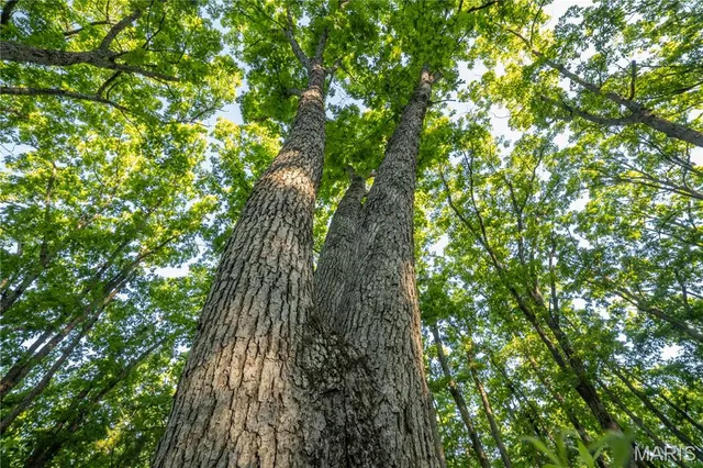 $250,000 | 11953 Apollo Street, Ethel, MO 63539