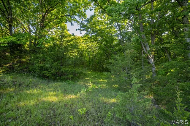 $250,000 | 11953 Apollo Street, Ethel, MO 63539