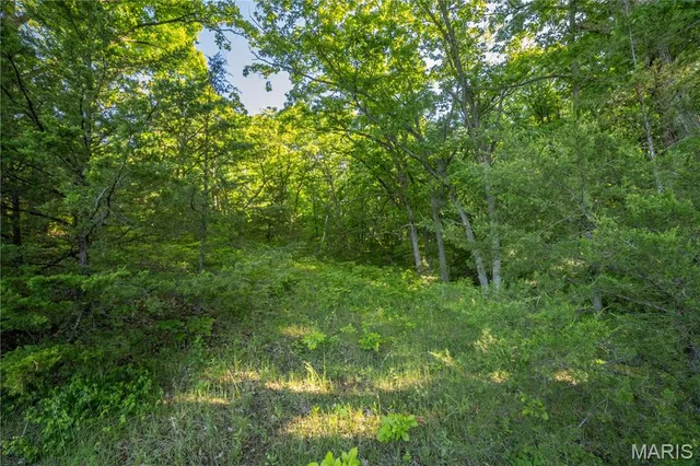 $250,000 | 11953 Apollo Street, Ethel, MO 63539