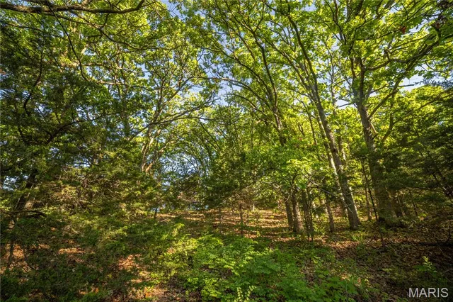 $250,000 | 11953 Apollo Street, Ethel, MO 63539