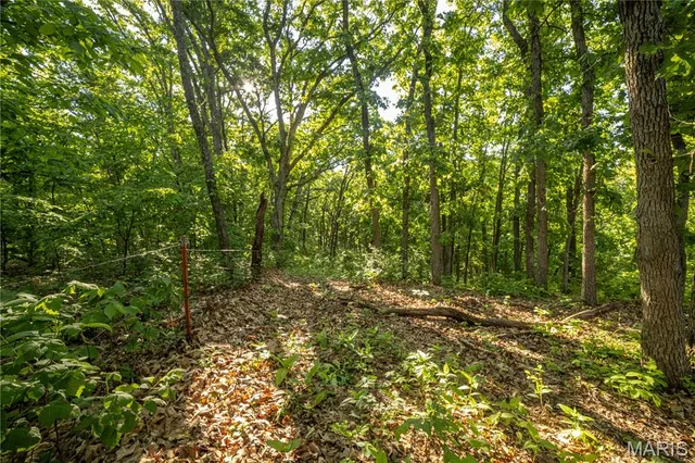 $250,000 | 11953 Apollo Street, Ethel, MO 63539