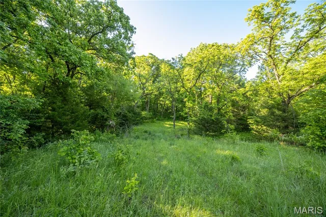 $250,000 | 11953 Apollo Street, Ethel, MO 63539