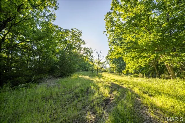 $250,000 | 11953 Apollo Street, Ethel, MO 63539