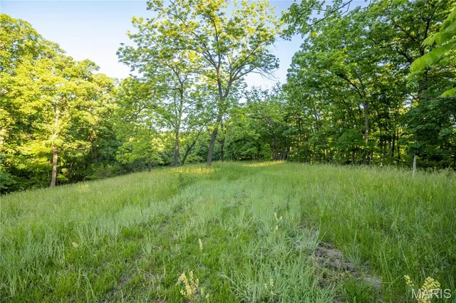 $250,000 | 11953 Apollo Street, Ethel, MO 63539