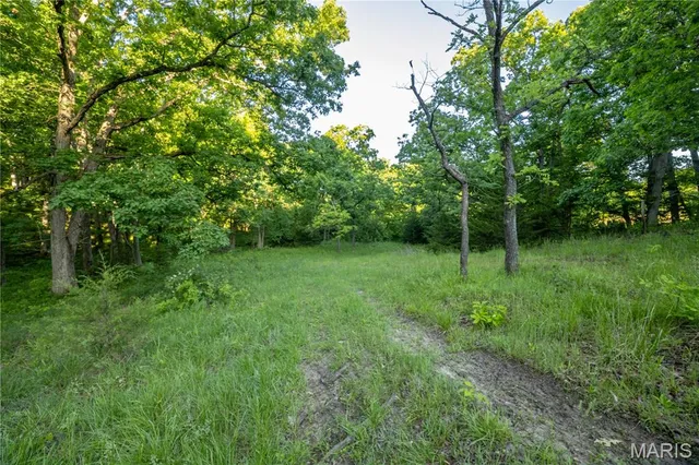 $250,000 | 11953 Apollo Street, Ethel, MO 63539