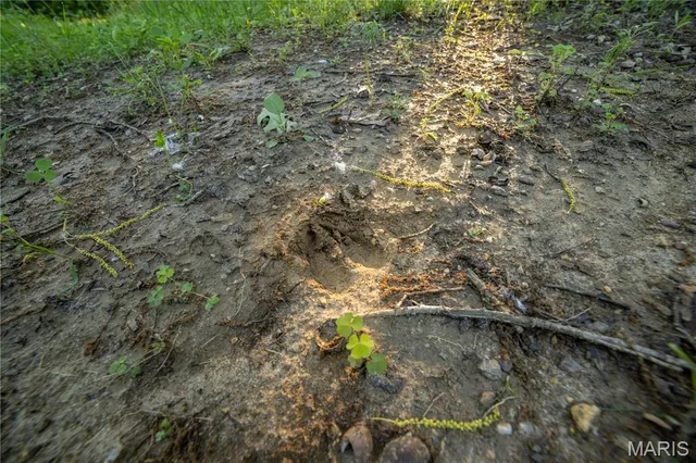 $250,000 | 11953 Apollo Street, Ethel, MO 63539