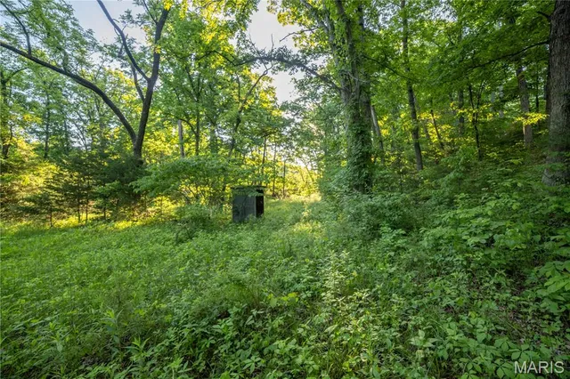 $250,000 | 11953 Apollo Street, Ethel, MO 63539