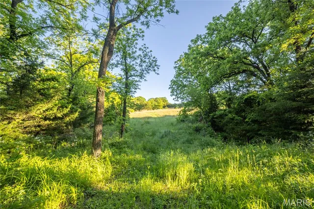 $250,000 | 11953 Apollo Street, Ethel, MO 63539