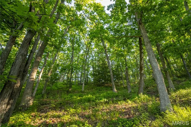 $250,000 | 11953 Apollo Street, Ethel, MO 63539