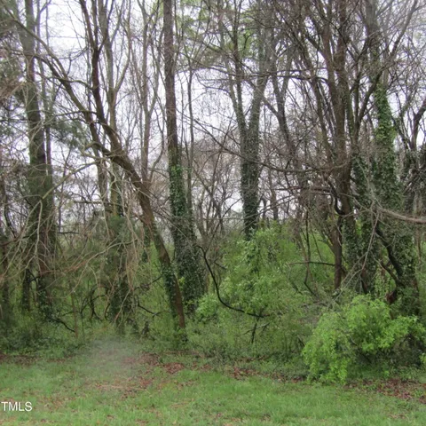 a view of a forest with trees