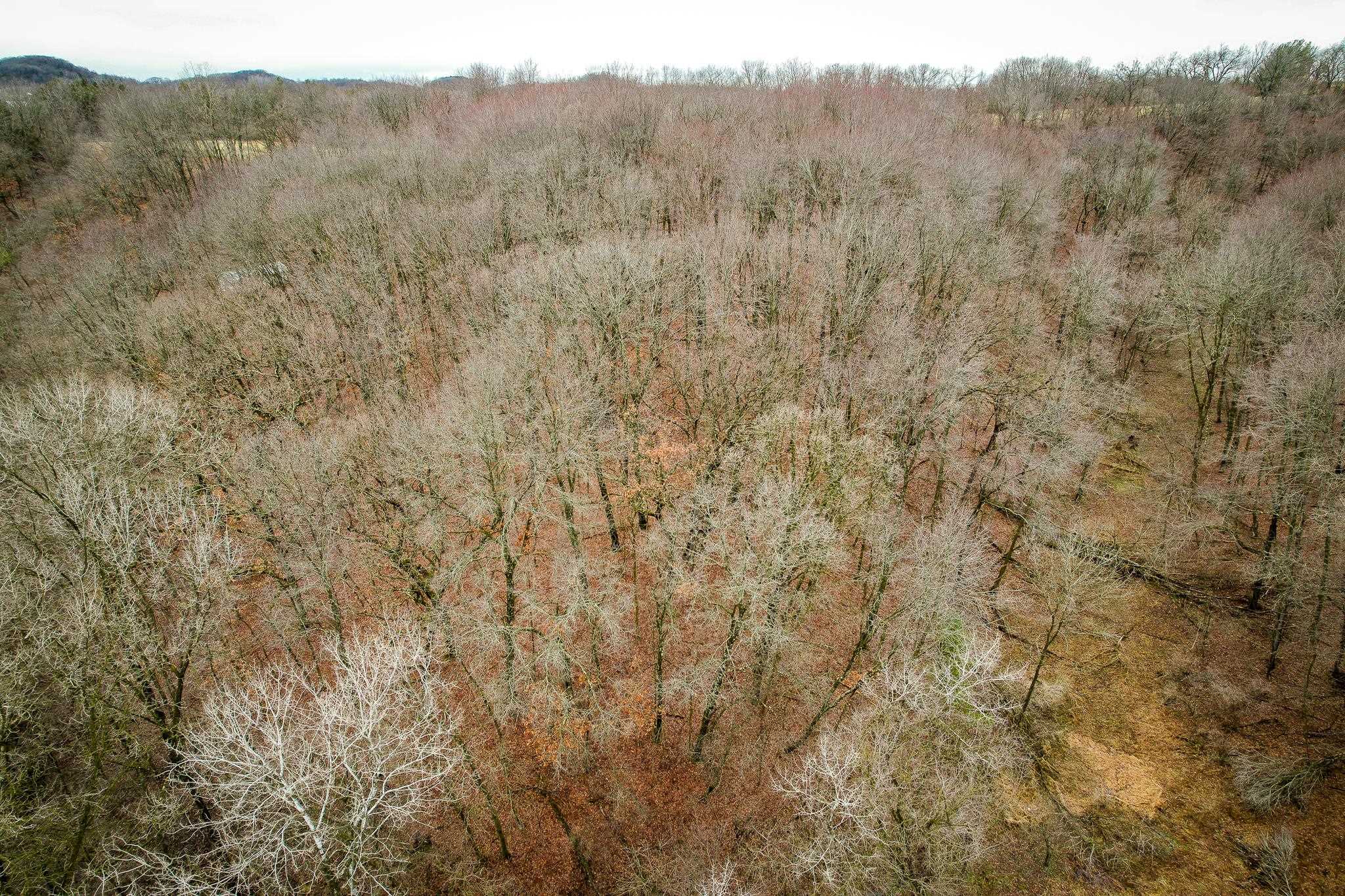 W10456 Whippoorwill Elroy, WI 53929 - Photo 5 of 11