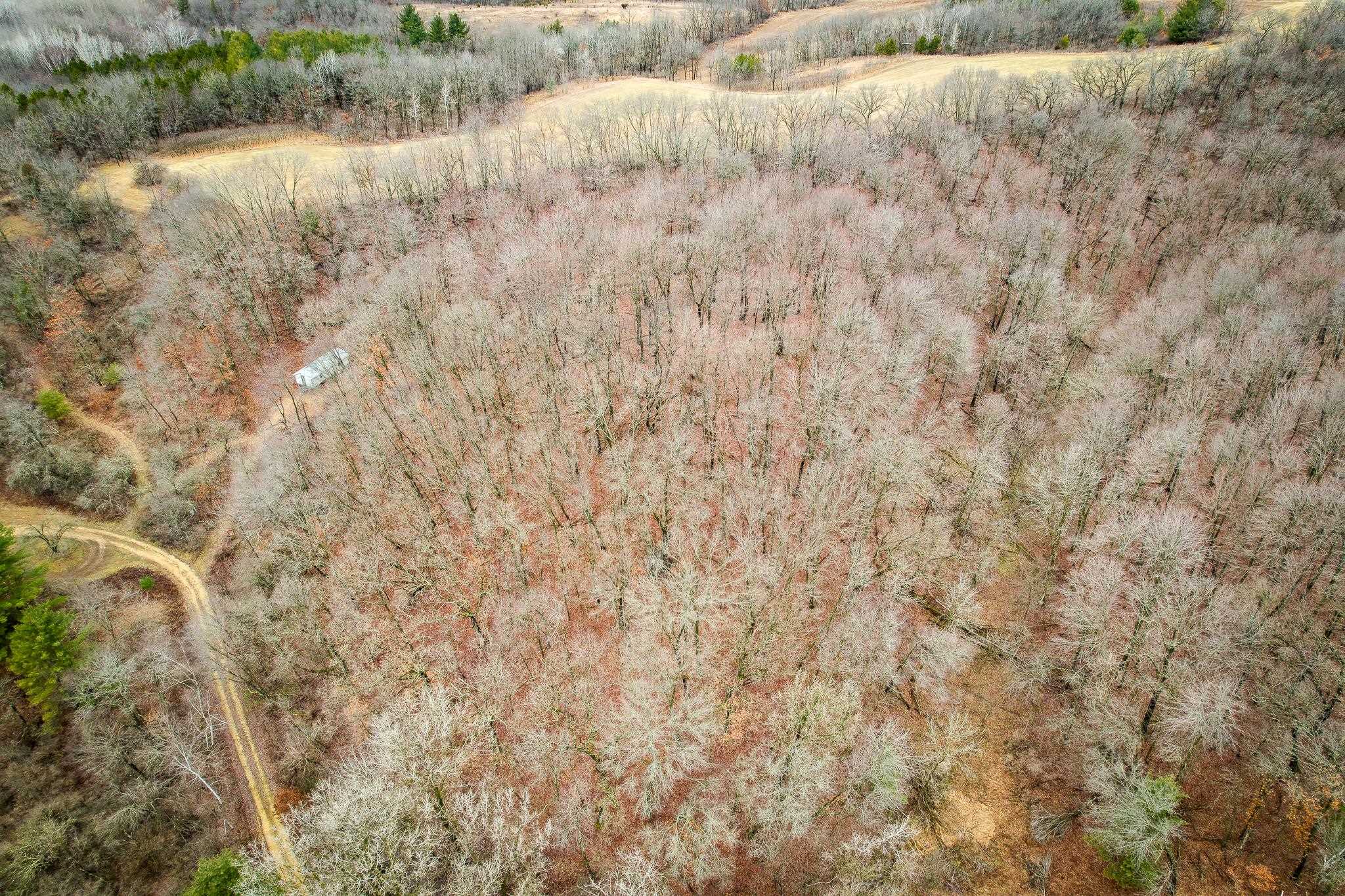 W10456 Whippoorwill Elroy, WI 53929 - Photo 8 of 11