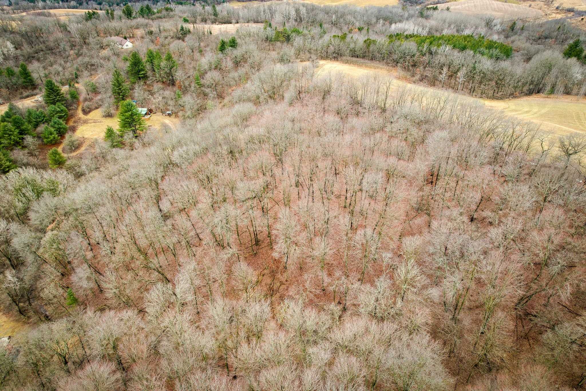 W10456 Whippoorwill Elroy, WI 53929 - Photo 9 of 11