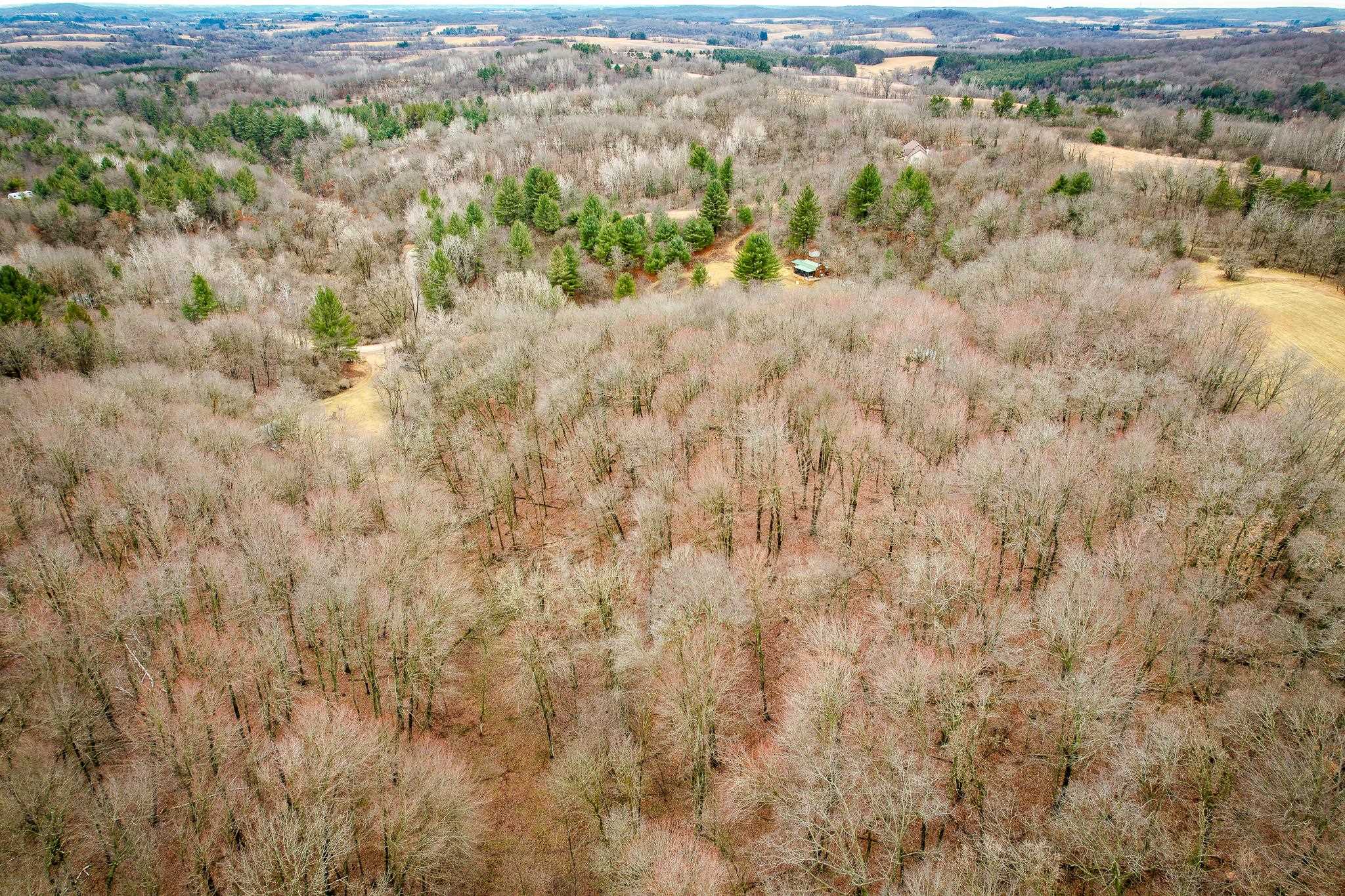 W10456 Whippoorwill Elroy, WI 53929 - Photo 10 of 11