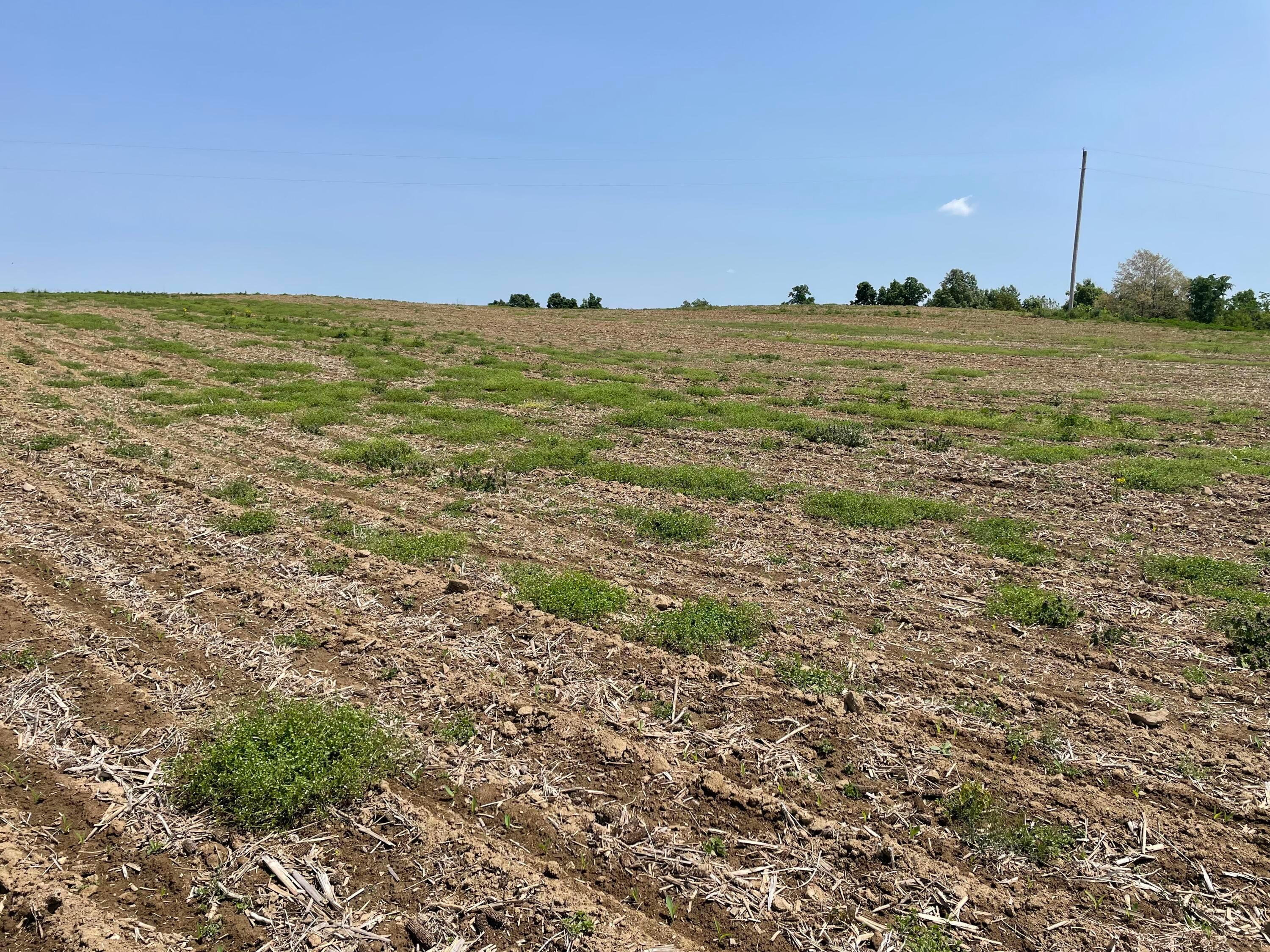 0 Strickler Road Southwest, Unit LOT 5 Amanda, OH 43102 - Photo 4 of 4 IMG-7470