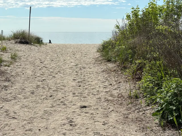 a view of a dry yard with wooden fence