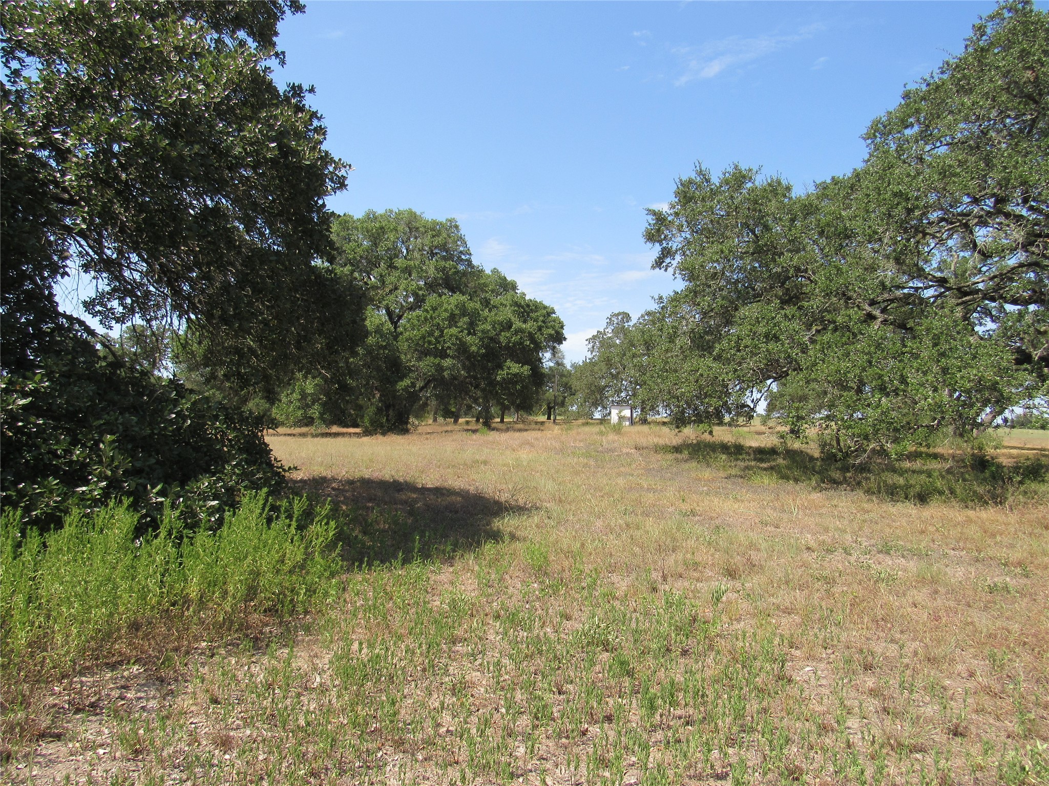 7863 FM 332 Road Brenham, TX 77833 - Photo 5 of 26 Gallery Image 5